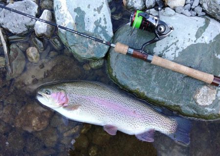 強風に苦戦 ～天竜川ルアーフライ専用区～